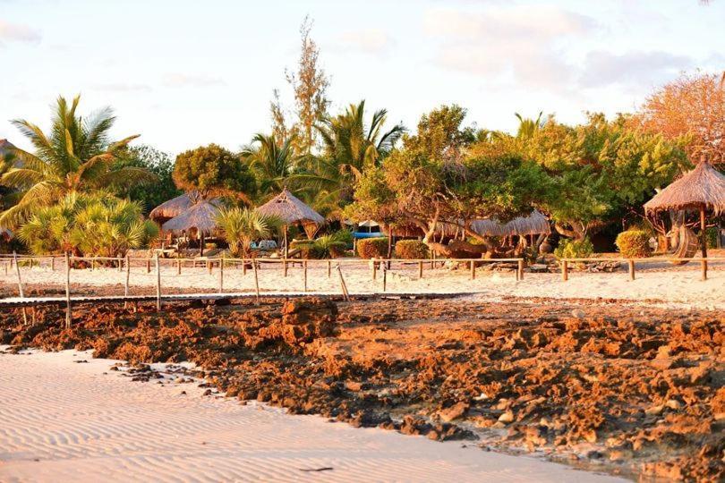 Villas Do Indico 维兰库卢什 外观 照片
